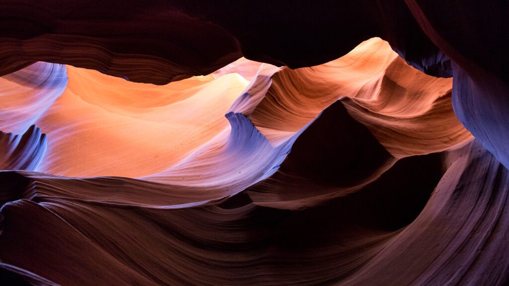 Inspiring photo with interesting rose and purple colors